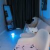 ♀️ barbara_xkiss Free Cam @ Chaturbate - immagine 2