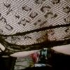 ♂️ purplefoxxx Free Cam @ Chaturbate - immagine 2