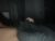 ♂️ 18foru_123 Free Cam @ Chaturbate