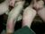 ♂️ 2hungcocks Free Cam @ Chaturbate