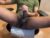 ♂️ 38a20bate Free Cam @ Chaturbate