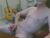 ♂️ 6stringer62 Free Cam @ Chaturbate