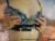 ♀️ abbieedmond Free Cam @ Chaturbate