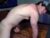 ♂️ ace_carter Free Cam @ Chaturbate