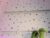 ⚧️ adammclark1 Free Cam @ Chaturbate