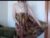 ♀️ agatha_moore_ Free Cam @ Chaturbate