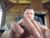 ♂️ alexsunn Free Cam @ Chaturbate