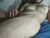 ♂️ alotofcream Free Cam @ Chaturbate