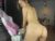 ♀️ amilia4u Free Cam @ Chaturbate