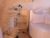 ♀️ amy_kiitty Free Cam @ Chaturbate