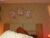 ♀️ ana_maria11 Free Cam @ Chaturbate