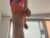 ♀️ Selene Cano Free Cam @ Camsoda