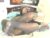 ⚧️ andreatsbigcockxx Free Cam @ Chaturbate