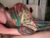 ♀️♂️ andriennexoxo Free Cam @ Chaturbate