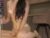 ♀️ angel_dew Free Cam @ Chaturbate