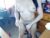⚧️ angelbaby11986 Free Cam @ Chaturbate