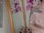 ♀️♂️ angels_fuck Free Cam @ Chaturbate