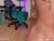 ♀️ anna_monik Free Cam @ Chaturbate