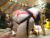 ⚧️ annnababe Free Cam @ Chaturbate