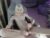 ♂️ another_jasper Free Cam @ Chaturbate