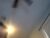 ♀️♂️ aprilbearxxx Free Cam @ Chaturbate