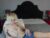 ♂️ archiehall Free Cam @ Chaturbate