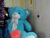 ♀️ arissha_lee Free Cam @ Chaturbate