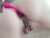♀️ asiamixx Free Cam @ Chaturbate