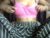 ♀️ avery_lust01 Free Cam @ Chaturbate