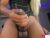 ⚧️ ayhanna_gomez Free Cam @ Chaturbate