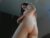 ♀️ ayvie Free Cam @ Chaturbate