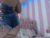 ♀️ baby_candy22 Free Cam @ Chaturbate