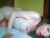 ⚧️ babypinkmermaid Free Cam @ Chaturbate