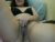 ♀️ babyyolly Free Cam @ Chaturbate