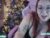 ♀️ baeornrae Free Cam @ Chaturbate