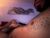 ♂️ banananutzd Free Cam @ Chaturbate