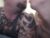 ♀️♂️ barbi3nken Free Cam @ Chaturbate