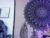 ⚧️ bathory_vamps Free Cam @ Chaturbate