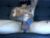 ♂️ bby044 Free Cam @ Chaturbate