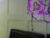 ♀️♂️ bellabutterflyy Free Cam @ Chaturbate