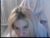 ♀️ bellastar84 Free Cam @ Chaturbate