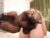 ♀️ betty_twilight Free Cam @ Chaturbate