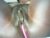 ♀️ biass_ebony234 Free Cam @ Chaturbate