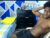 ♂️ big_black11 Free Cam @ Chaturbate