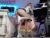 ♀️ big_lava Free Cam @ Chaturbate