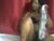 ♀️ big_queenz Free Cam @ Chaturbate