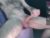 ♂️ bigcurve80 Free Cam @ Chaturbate