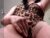 ♀️ bingh_ Free Cam @ Chaturbate
