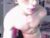 ♂️ black_skull22 Free Cam @ Chaturbate