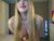 ♀️ black_soda Free Cam @ Chaturbate